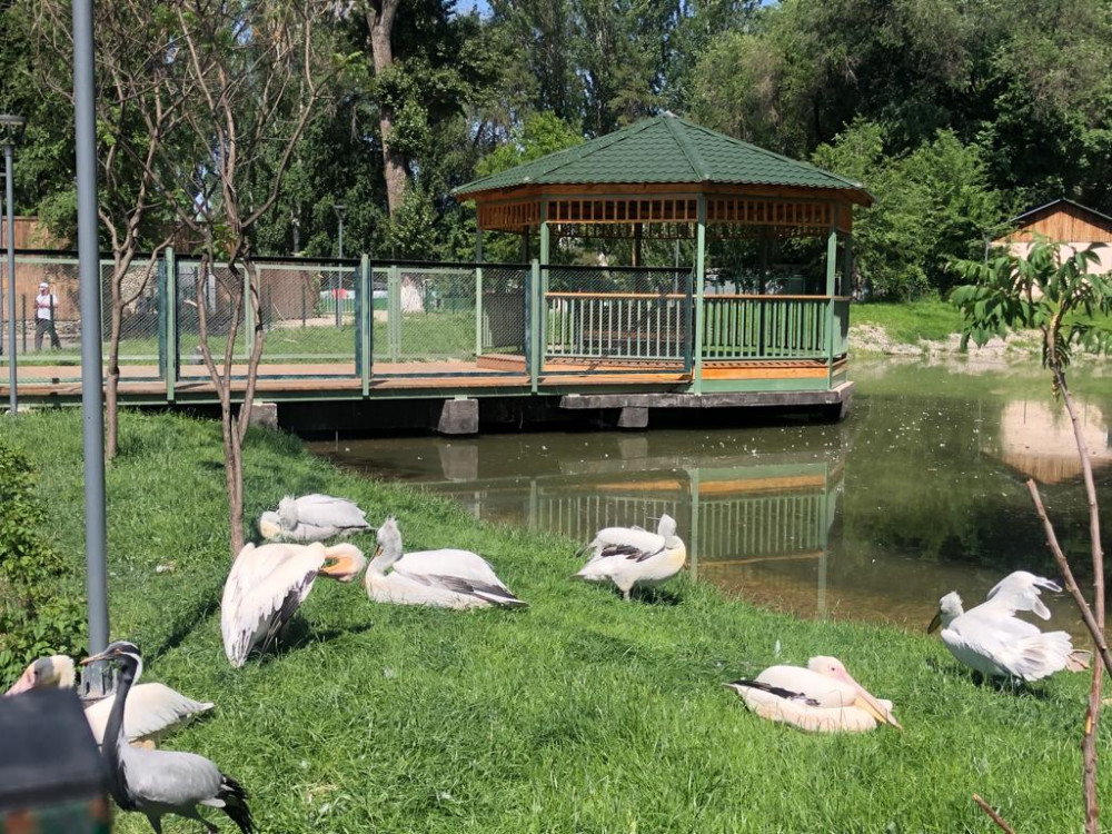 Порно жұлдыз Сильвия Сенттің ресми сайты